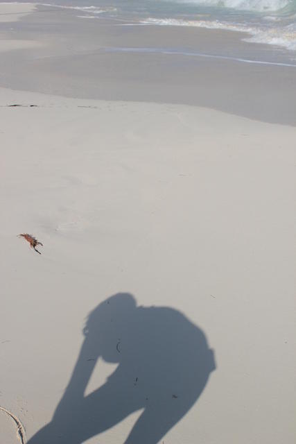 woman shadow on the beach - free image