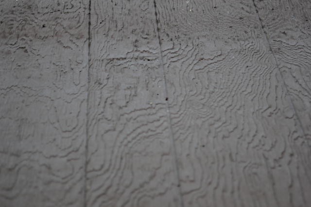 Wood venation - free image