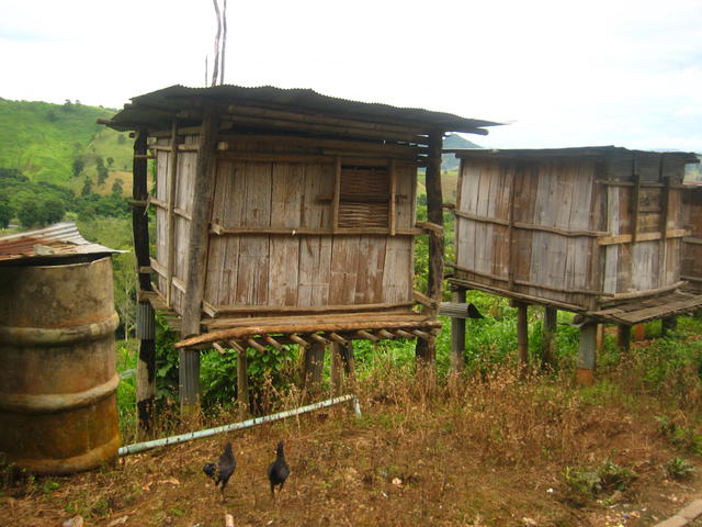 wooden huts - free image