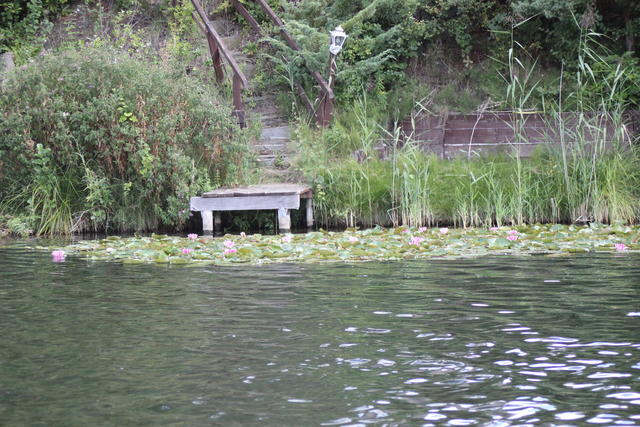 wooden jetty - free image