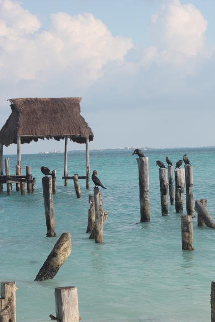 wooden posts for resting - free image