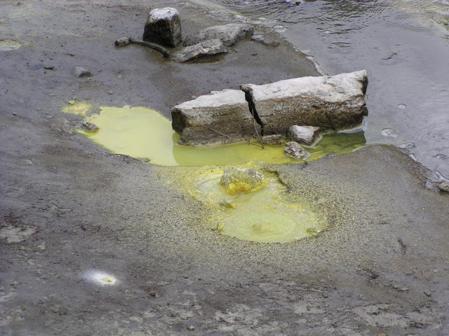 yellow green water - free image