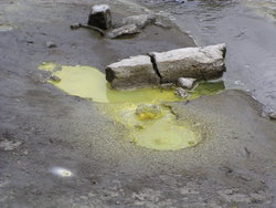 yellow green water