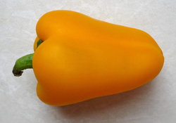 yellow sweet pepper